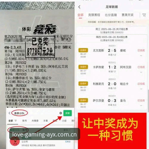 都灵德比备战深度解析：AYX体育平台用户观赛实用指南